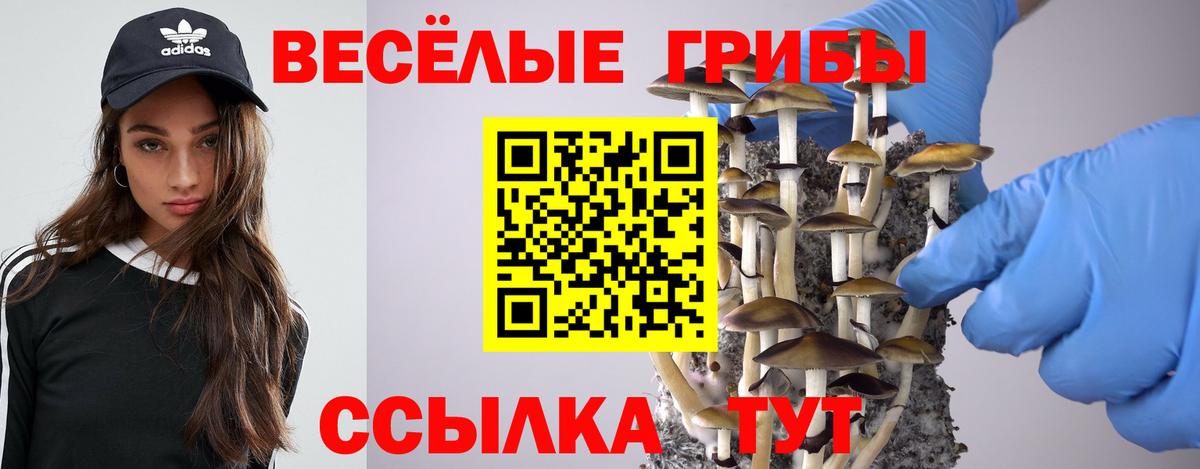 Галлюциногенные грибы MAGIC MUSHROOMS Астрахань